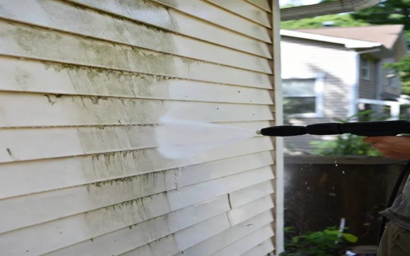 Clean house exterior with fresh siding after professional pressure washing